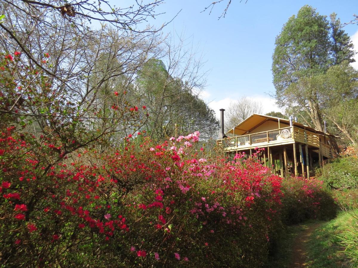 Africamps Magoebaskloof 빌라 외부 사진