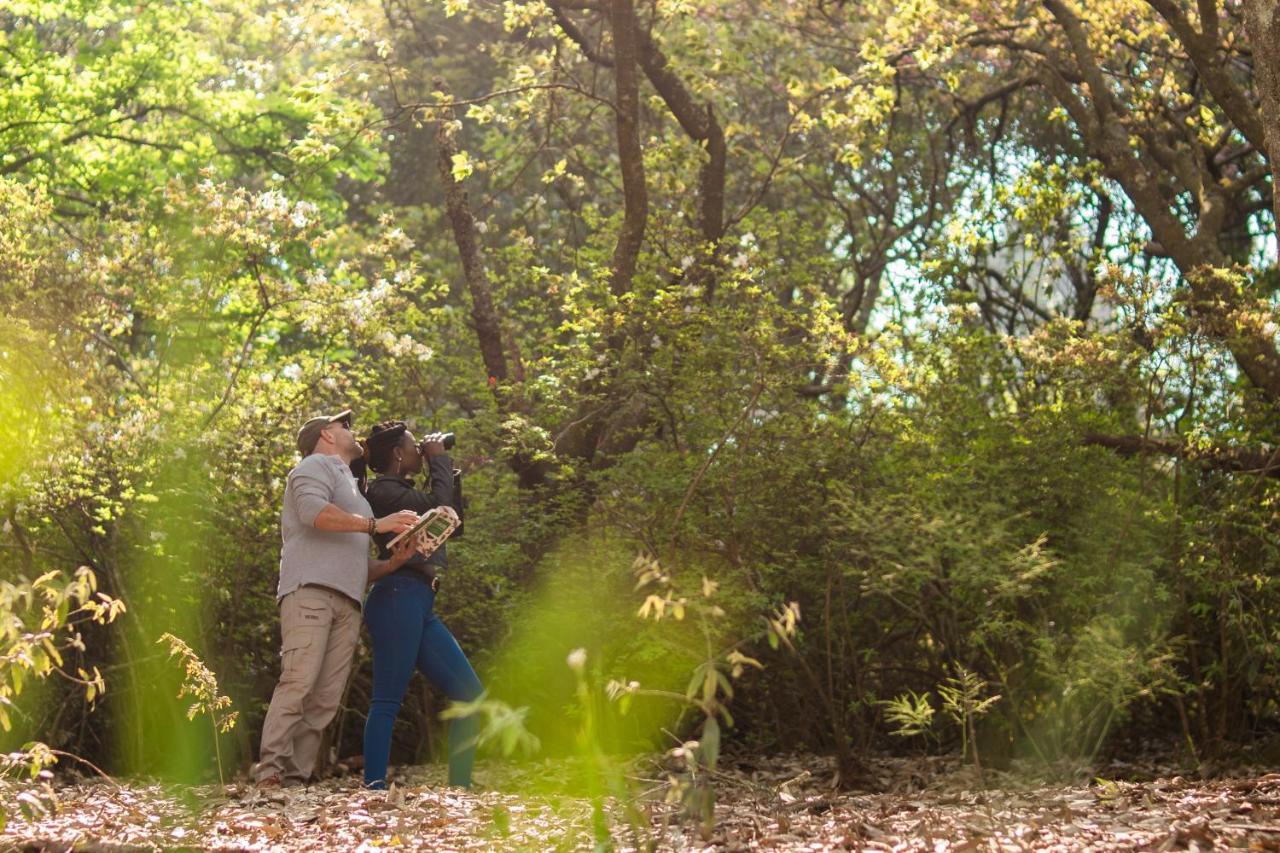 Africamps Magoebaskloof 빌라 외부 사진