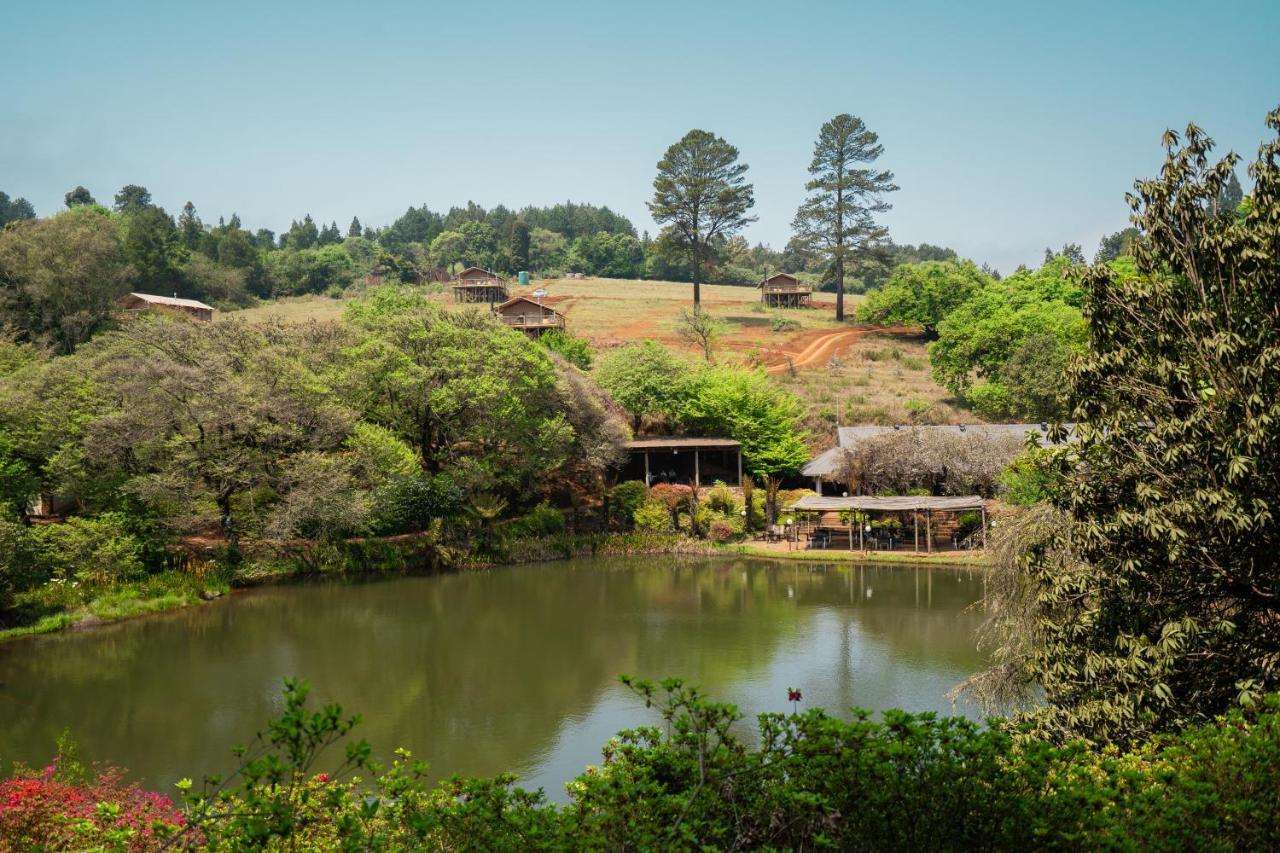 Africamps Magoebaskloof 빌라 외부 사진